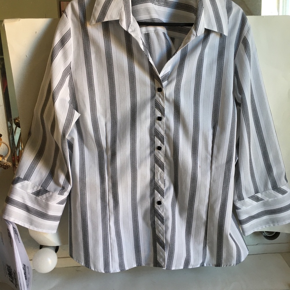 Fox Croft        Wrinkle Free plus size 18